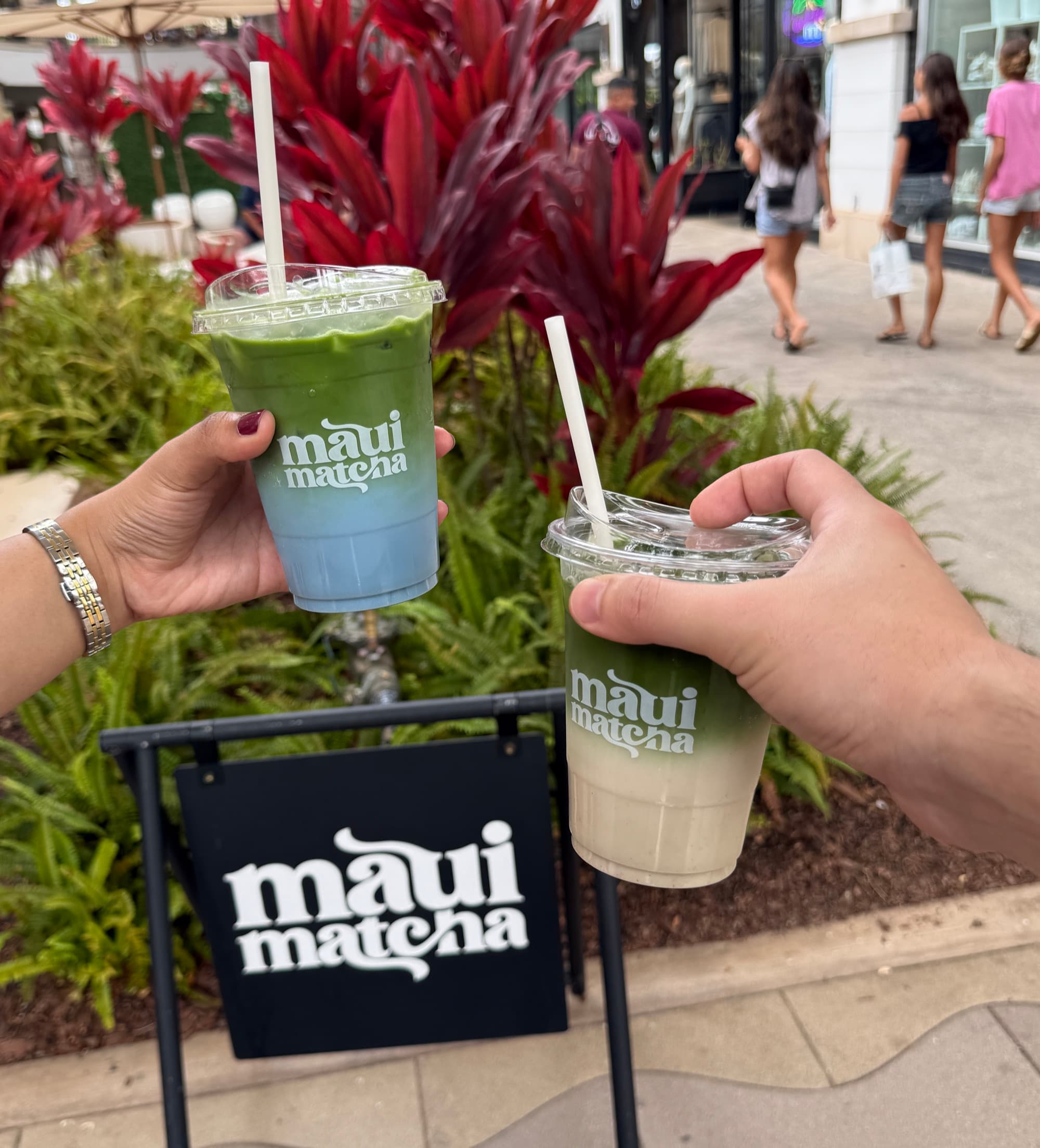 Drinking Matcha